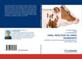 VIRAL INFECTION IN LARGE RUMINANTS