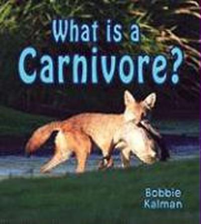 What Is a Carnivore?