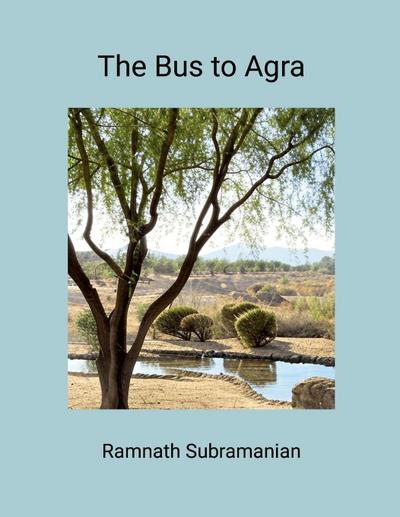 The Bus To Agra