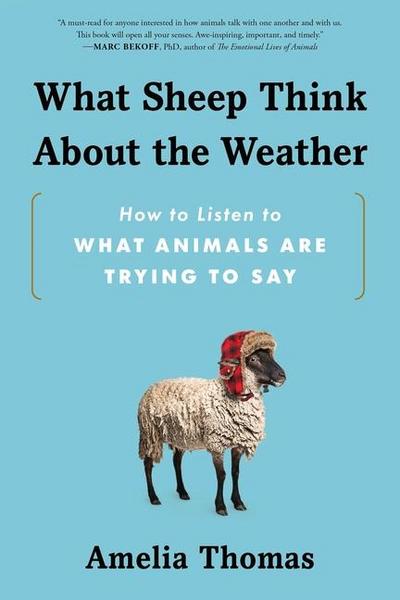 What Sheep Think about the Weather