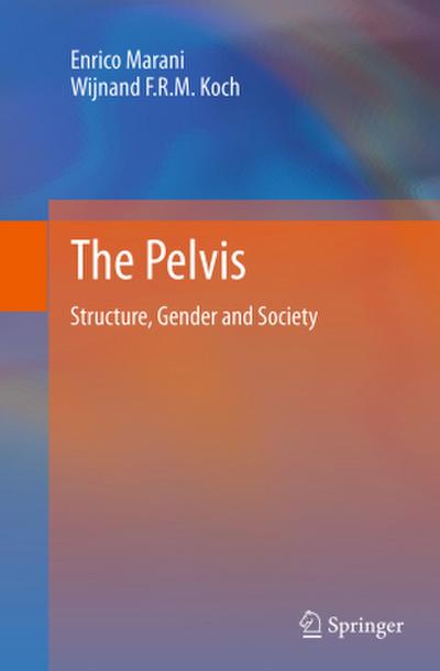 The Pelvis