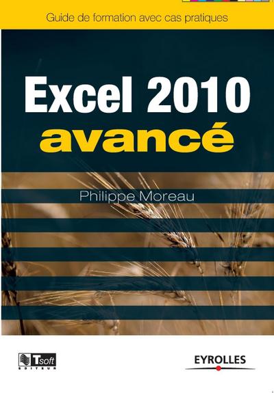 Excel 2010 avancé: Image, communication et influence à la portée de tous
