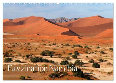 Faszination Namibia (Wandkalender 2024 DIN A2 quer), CALVENDO Monatskalender