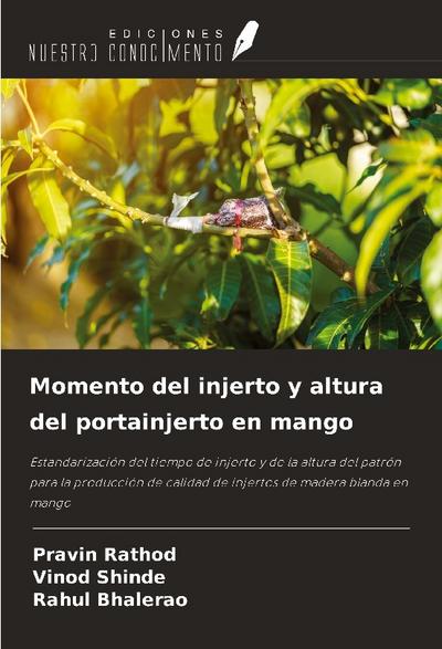 Momento del injerto y altura del portainjerto en mango
