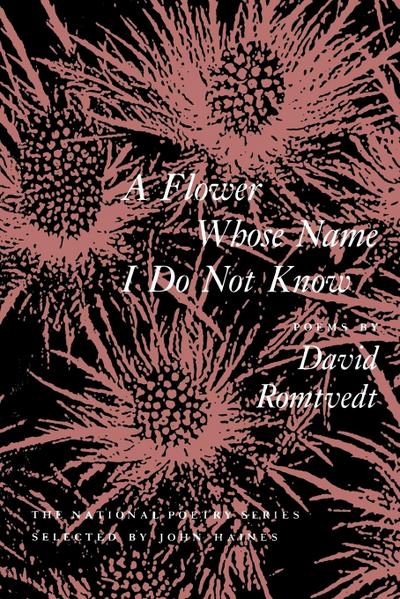 A Flower Whose Name I Do Not Know