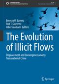The Evolution of Illicit Flows