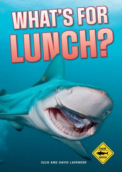 Shark Watch!: What’s for Lunch?
