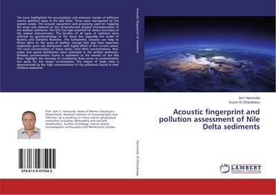 Acoustic fingerprint and pollution assessment of Nile Delta sediments