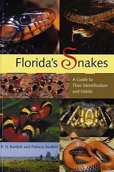 Florida’s Snakes
