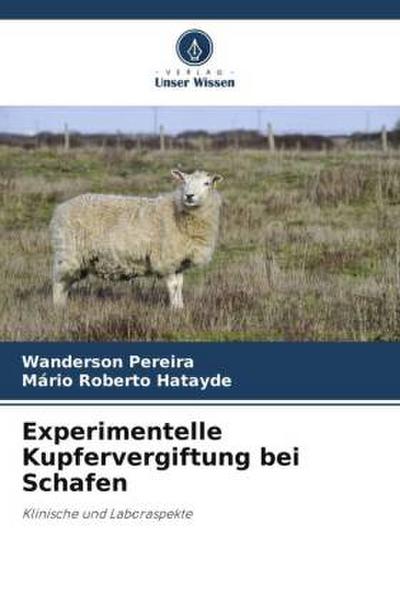 Experimentelle Kupfervergiftung bei Schafen