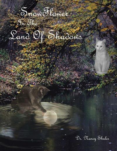 SnowFlower In The Land Of Shadows