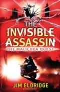 Invisible Assassin