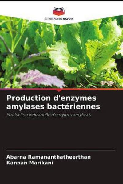 Production d’enzymes amylases bactériennes