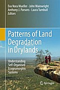 Patterns of Land Degradation in Drylands