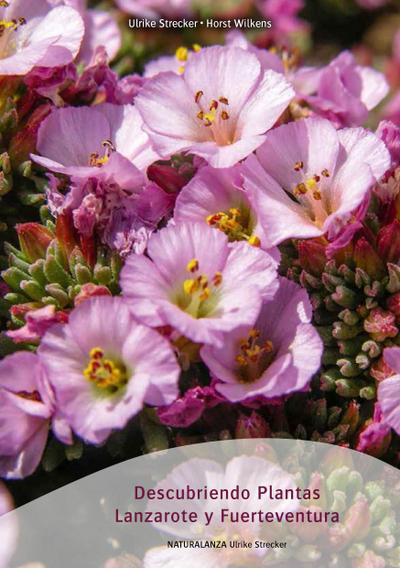 Descubriendo Plantas Lanzarote y Fuerteventura