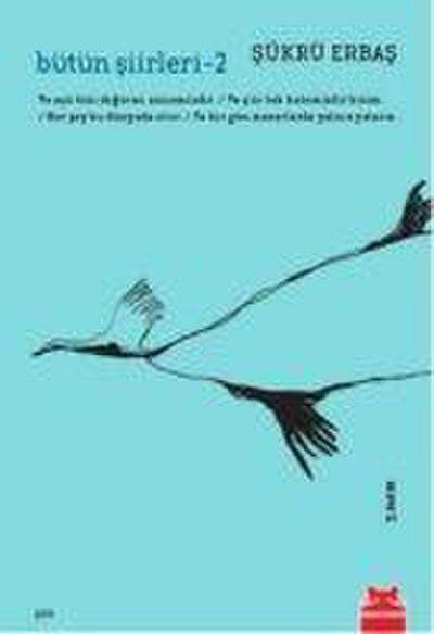 Bütün Siirleri 2