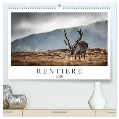 Rentiere (hochwertiger Premium Wandkalender 2026 DIN A2 quer), Kunstdruck in Hochglanz