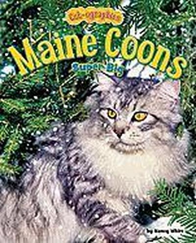 Maine Coons