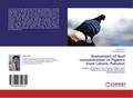 Assessment of lead contamination in Pigeons from L