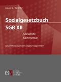 Sozialgesetzbuch (SGB) XII: Sozialhilfe - Einzelbe