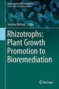 Rhizotrophs: Plant Growth Promotion to Bioremediat
