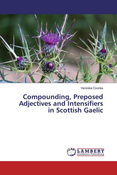 Compounding, Preposed Adjectives and Intensifiers in Scottish Gaelic