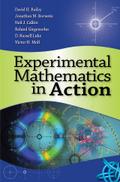 Experimental Mathematics in Action