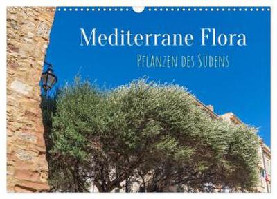 Mediterrane Flora - Pflanzen des Südens (Wandkalender 2026 DIN A3 quer), CALVENDO Monatskalender