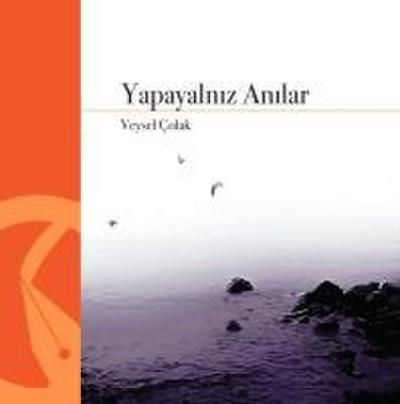 Yapayalniz Anilar