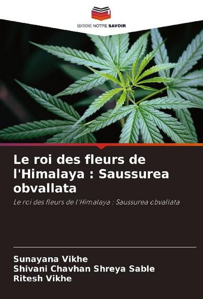 Le roi des fleurs de l’Himalaya : Saussurea obvallata