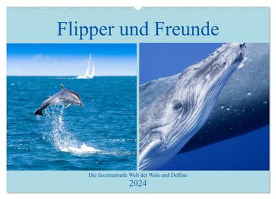 Flipper und Freunde (Wandkalender 2024 DIN A2 quer), CALVENDO Monatskalender