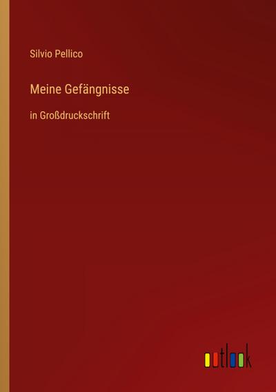 Meine Gefängnisse