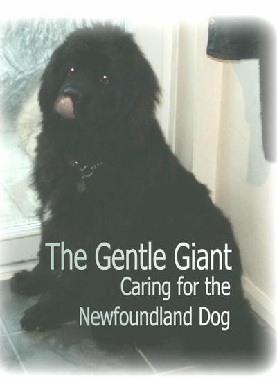 The Gentle Giant: Caring for the Newfoundland Dog