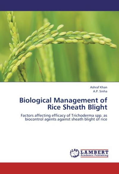 Biological Management of Rice Sheath Blight