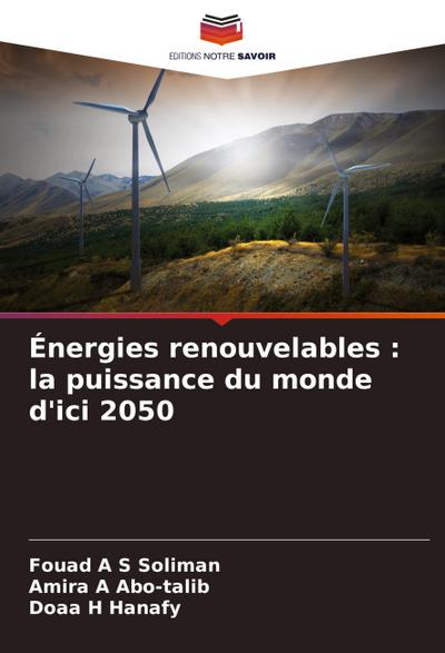 Énergies renouvelables : la puissance du monde d’ici 2050