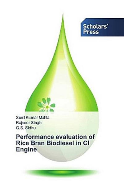 Performance evaluation of Rice Bran Biodiesel in CI Engine