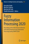 Fuzzy Information Processing 2020