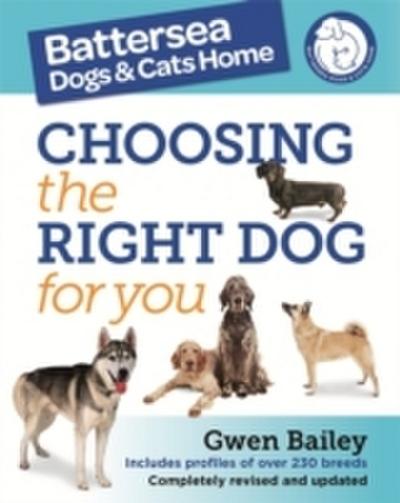 Battersea Dogs and Cats Home: Choosing The Right Dog For You
