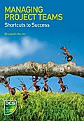 Managing Project Teams