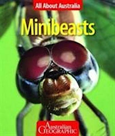 All About Australia: Minibeasts