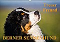 Treuer Freund Berner Sennenhund (Wandkalender 2017 DIN A2 quer)