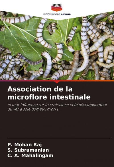 Association de la microflore intestinale