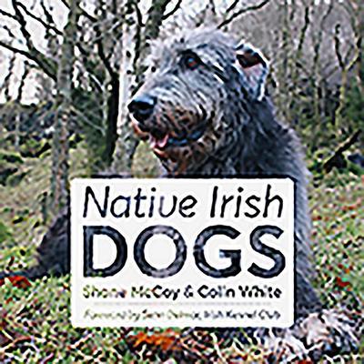 Native Irish Dogs