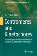 Centromeres and Kinetochores