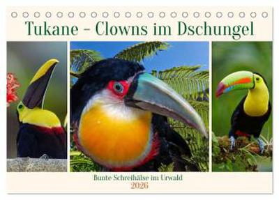 Tukane - Clowns im Dschungel (Tischkalender 2026 DIN A5 quer), CALVENDO Monatskalender
