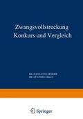 Zwangsvollstreckung Konkurs und Vergleich