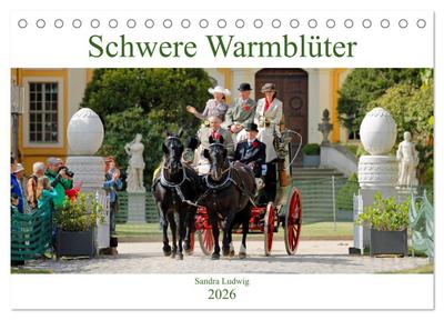 Schwere Warmblüter 2026 (Tischkalender 2026 DIN A5 quer), CALVENDO Monatskalender