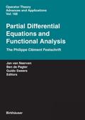 Partial Differential Equations and Functional Anal