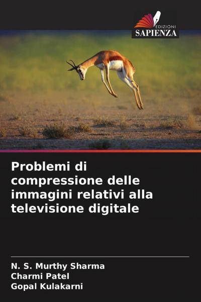 Problemi di compressione delle immagini relativi alla televisione digitale