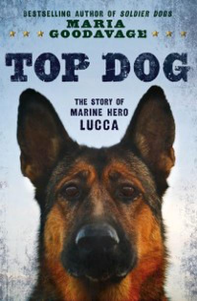 Top Dog